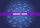 鼠和羊在一起好吗，属羊属鼠一起做生意