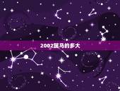 2002属马的多大，2004年今年多大