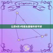 公历8月3号提车属相牛好不好，2019年阳历8月3号中午11点49出生