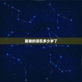 属猪的现在多少岁了，1947年到2022 年多大了