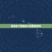属兔生个属猪的小孩属相好吗，属鼠与属猪的相配吗