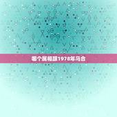 哪个属相跟1978年马合，我是1978年出生的属马请问我跟哪个属相般配