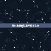 招财鱼躺在缸底不动怎么办，我家的招财鱼身上发紫.红.青，有腐烂症状，躺