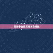 男海中金喜见榴木命婚配，男的是海中金命对象是石榴木命结婚可以吗？听说金