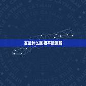 玄武什么属相不能佩戴，那些属相不适合戴玉 什么属相不能戴玉貔貅