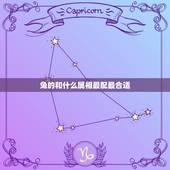 兔的和什么属相最配最合适，属鸡的和什么属相最配相克