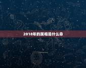 2018年的属相是什么命，2018年4月8日10点32出生属什么命