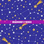 属鼠的和哪几个属相合，属相婚姻配对