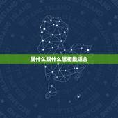 属什么跟什么属相最适合，属鼠的和什么属相最配最合适女
