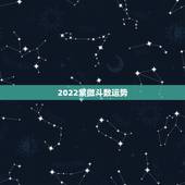 2022紫微斗数运势，2022年流年运势分析张盛舒