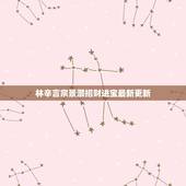 林辛言宗景灏招财进宝最新更新，现代小说 女主救了男主，男主以为是女二救