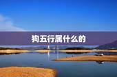 狗五行属什么的，生肖狗五行属什么，属狗的五