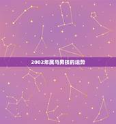 2002年属马男孩的运势，2002年9月初三 凌晨一点出生的孩子有什么