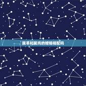 属羊和属鸡的婚姻相配吗，属羊和属鸡相配吗？