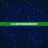 2022属牛男孩最吉利的名字 2022年1月牛宝宝名字