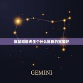 属鼠和属虎生个什么属相的宝宝好，属鼠爸爸与属虎妈妈生个什么属相宝宝最好