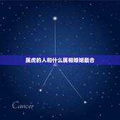 属虎的人和什么属相婚姻最合，属虎的女人和什么属相最配