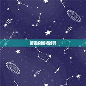 属猪的属相好吗，属猪的属相婚配表