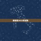 紫微算2022年运势，2022 年生肖运势完整版每月