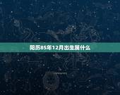 阳历85年12月出生属什么 85年12月是什么命