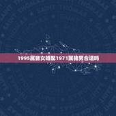 1995属猪女婚配1971属猪男合适吗，1997出生属牛女和1995属