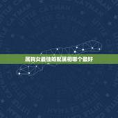 属狗女最佳婚配属相哪个最好，属狗女和什么属相最配