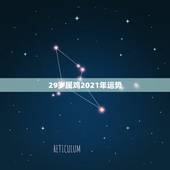 29岁属鸡2021年运势，69年属鸡男2021年运势运程