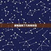 属相是狗了几年有好运，82年属狗今年交运是什么时候