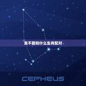 龙不能和什么生肖配对，属鼠的和什么属相最配相克