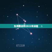 生肖猴运势2022年运程，属猴人2022年运势及财运