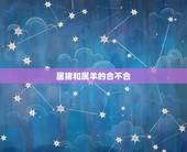 属猪和属羊的合不合，猪和羊在一起财运怎么样