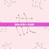 属兔9月到12月运势，75属兔一生有几次婚姻