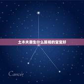 土木夫妻生什么属相的宝宝好，看属相的相生相克好？还是五行的相生相克好？