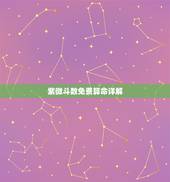紫微斗数免费算命详解，求紫薇算命详解