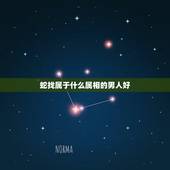 蛇找属于什么属相的男人好，牛蛇属相合不合，婚姻状况怎样