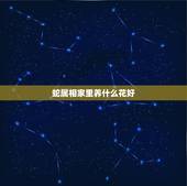 蛇属相家里养什么花好，人十二生肖，属蛇应该家中放什么花好