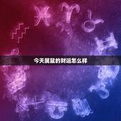 今天属鼠的财运怎么样，1984年属鼠财运如何 1984年属鼠财运怎么样