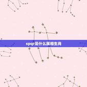 spqr是什么属相生肖，属牛的和什么属相最配