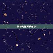 属牛刘姓男孩名字，刘姓好听到爆炸的名字