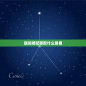 属相婚配猴配什么属相，属猴的和什么属相更好