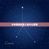 牛年属鼠的贵人是什么属相，属鼠的贵人属相有哪些