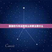 属猪的今年运势怎么样要注意什么，2022 年属猪的财运和运气如何