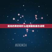 属龙的男的和什么属相最配最合适呢，属鸡的女人命好吗 属鸡的女人和什么属