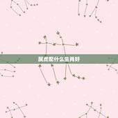 属虎配什么生肖好，女属虎配什么生肖更好