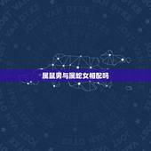 属鼠男与属蛇女相配吗，男属鼠女属蛇配吗 详细