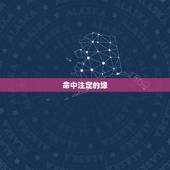 命中注定的缘，有谁知道命中注定的缘分是那首歌的歌词