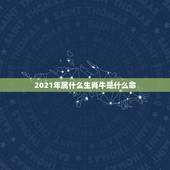 2021年属什么生肖牛是什么命，2021年是什么牛五行属什么