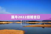 属牛2022结婚吉日，2022年禁结婚属相