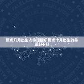 属虎几月出生人命运最好 属虎十月出生的命运好不好