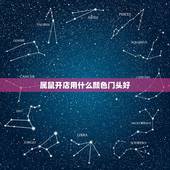 属鼠开店用什么颜色门头好，招牌什么颜色最旺财